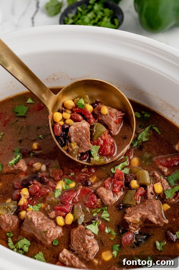 slow cooker taco stew close up
