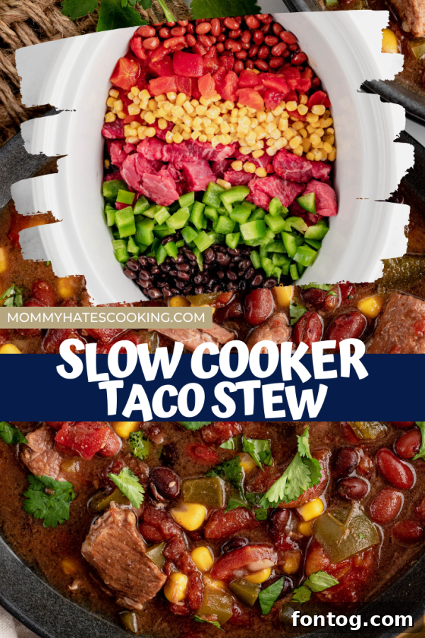 slow cooker taco stew in a bowl with tortilla chips