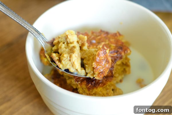 Ninja Foodi with oatmeal mixture inside