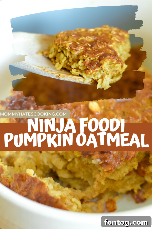 NINJA FOODI PUMPKIN OATMEAL pin image