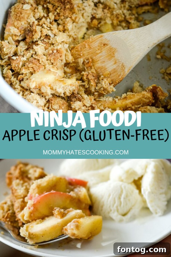 Finished Ninja Foodi Apple Crisp, ready to serve