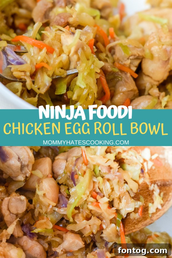 A large, appealing image of the finished Ninja Foodi Egg Roll in a Bowl, garnished and ready.