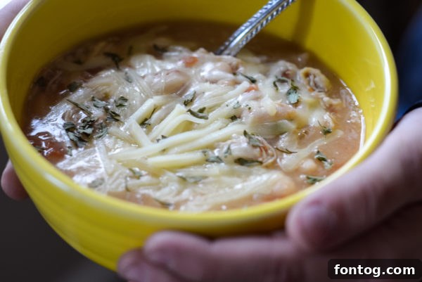 Ninja Foodi with its slow cooker lid in place, ready for cooking.