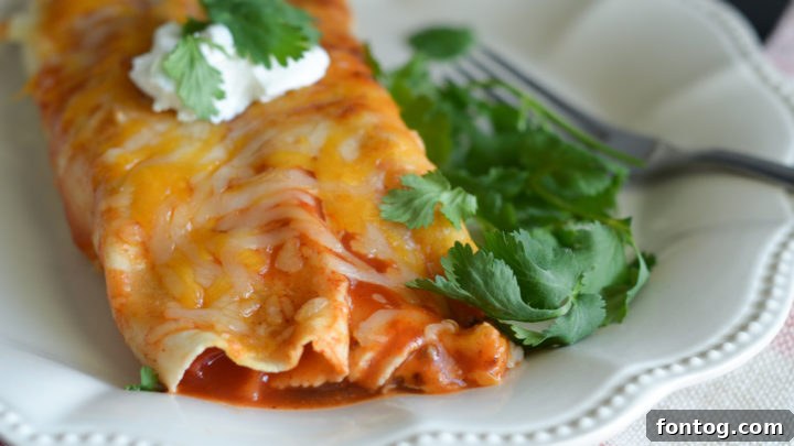 Delicious Gluten Free Air Fryer Cheesy Beef Enchiladas.