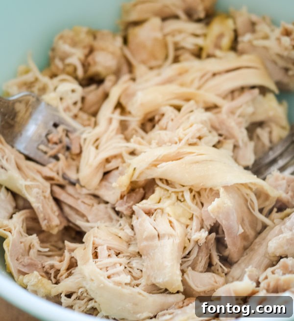 Perfectly cooked shredded chicken in a Ninja Foodi