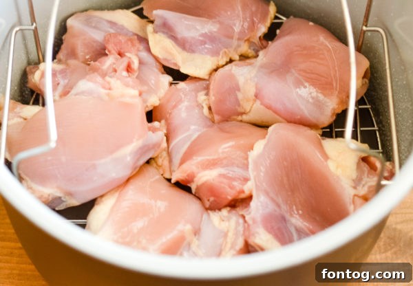 Raw boneless skinless chicken breasts ready for the Ninja Foodi