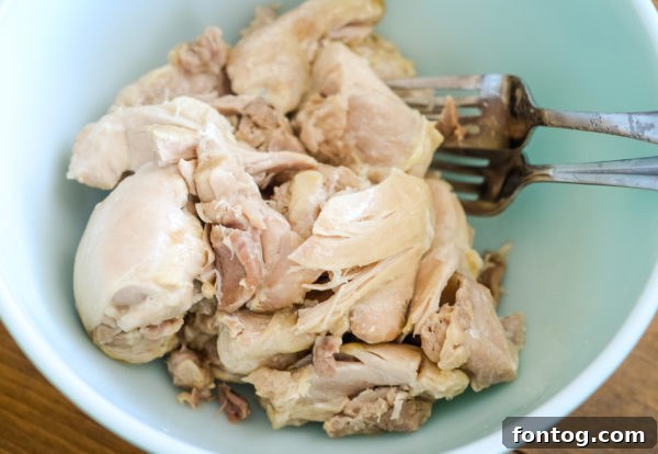 Ninja Foodi trivet with chicken pieces