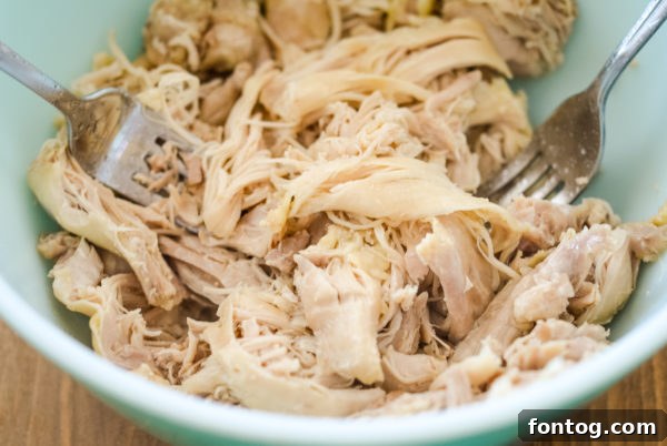 Shredded Ninja Foodi chicken breast