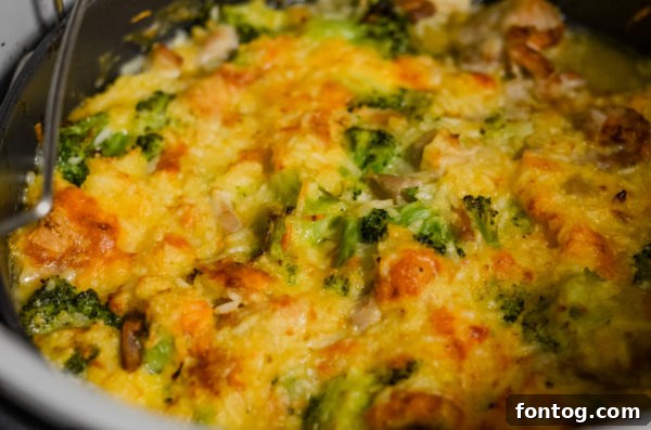 Cooked chicken thighs for the cheesy broccoli chicken and rice bake