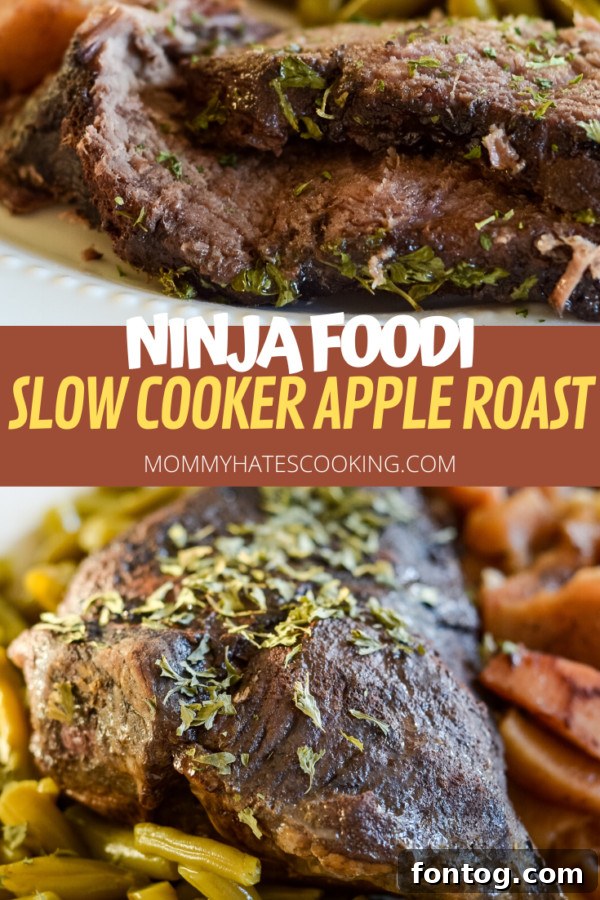 Large image of Ninja Foodi Slow Cooker Apple Roast