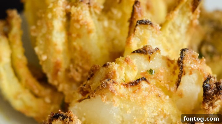 Air Fried Blooming Onion with dipping sauce