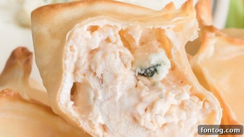 Buffalo Chicken Wontons (AirFryer Recipe)