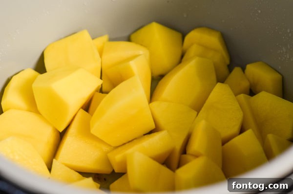 Ninja Foodi Mashed Potatoes cooking