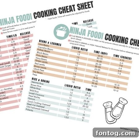 Ninja Foodi Cheat Sheet