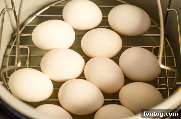 hard-boiled eggs in the ninja foodi 