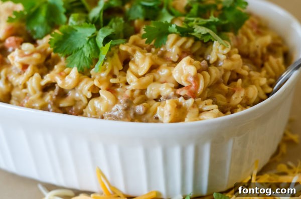 Ingredients for Mexican Mac and Cheese