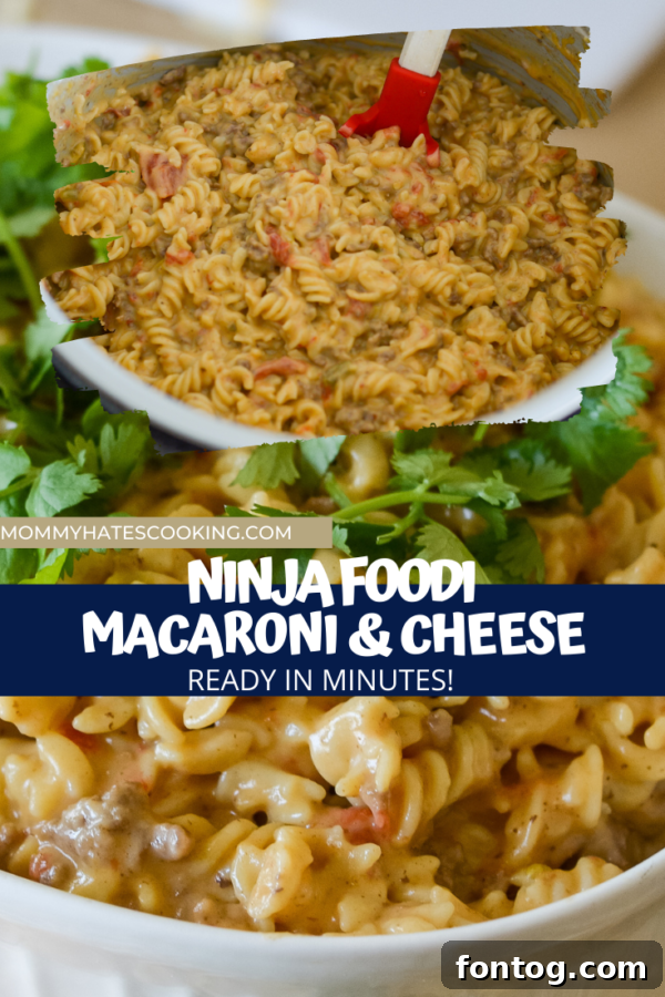 NINJA FOODI MACARONI AND CHEESE PIN