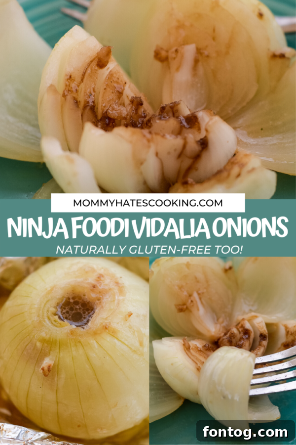 NINJA FOODI VIDALIA ONIONS