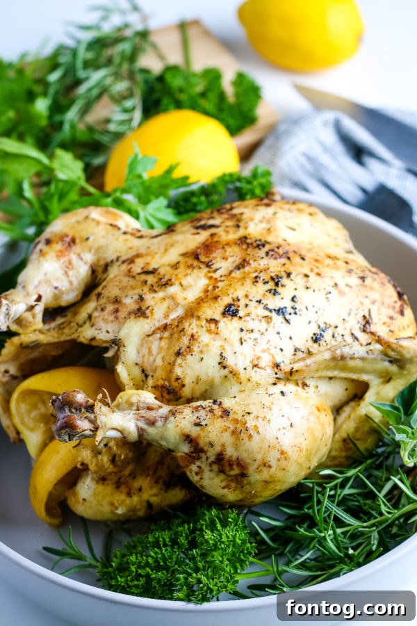 ninja foodi whole chicken cooked to perfection