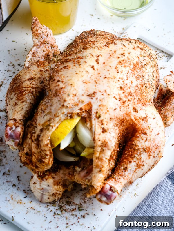 seasoned ninja foodi whole chicken