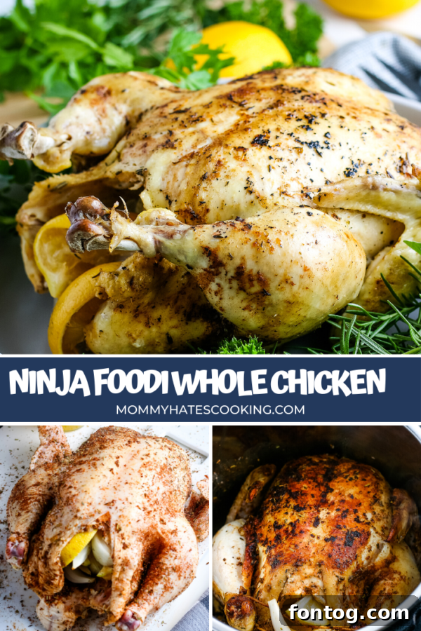 ninja foodi whole chicken pin graphic