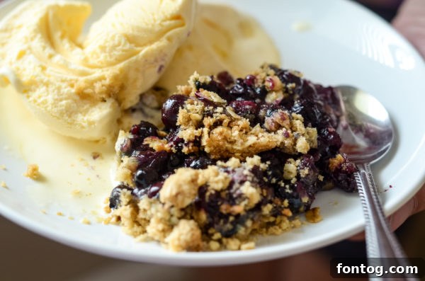 Ninja Foodi Blueberry Crisp (Gluten-Free)