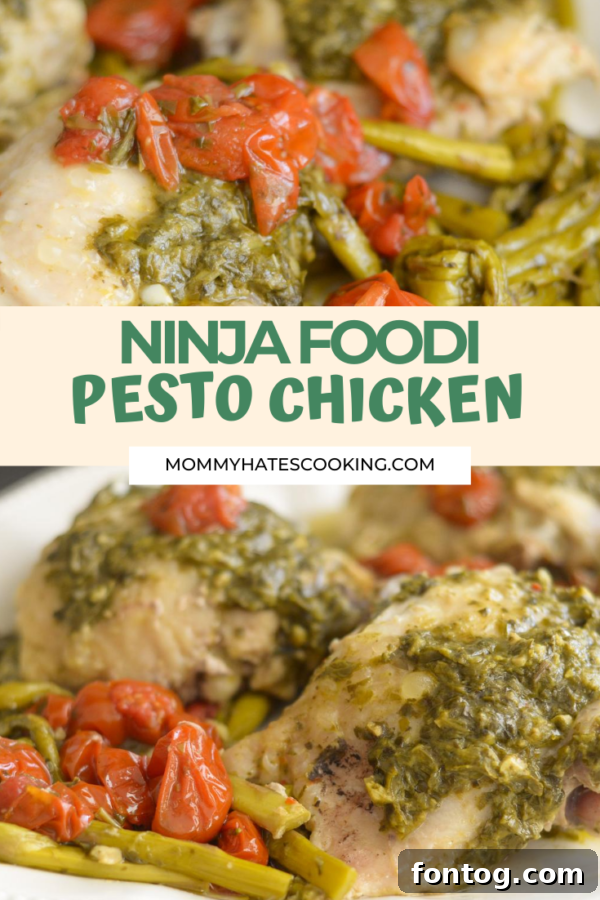 NINJA FOODI PESTO CHICKEN finished dish