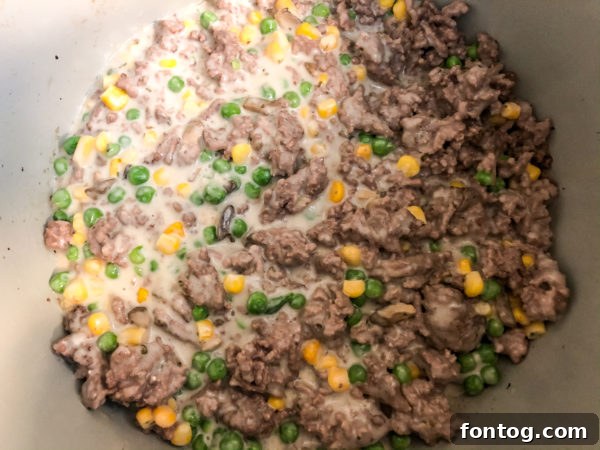 Ninja Foodi Tater Tot Casserole