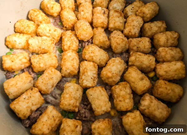 Ninja Foodi Tater Tot Casserole
