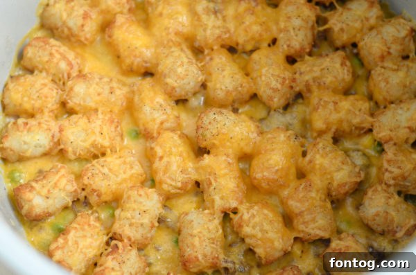 Ninja Foodi Tater Tot Casserole