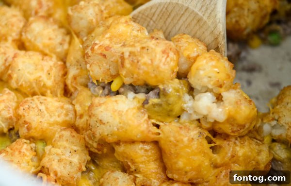Ninja Foodi Tater Tot Casserole