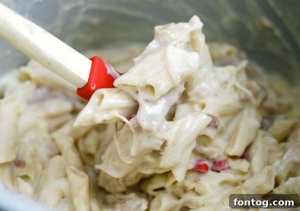 Ninja Foodi Chicken Alfredo - Gluten-free pasta close-up