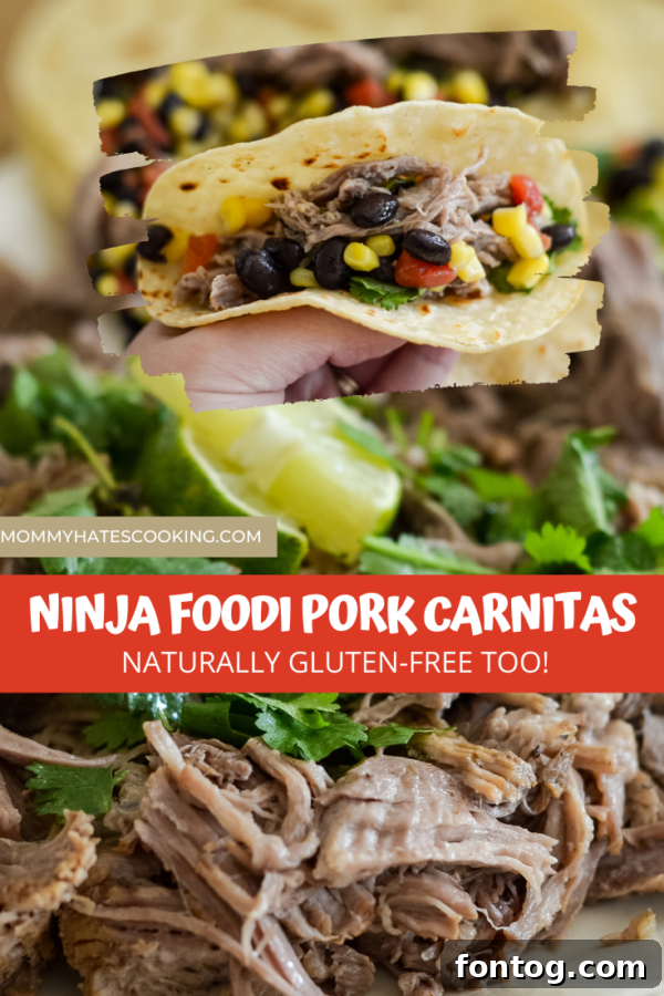 NINJA FOODI PORK CARNITAS Pinterest Pin Image