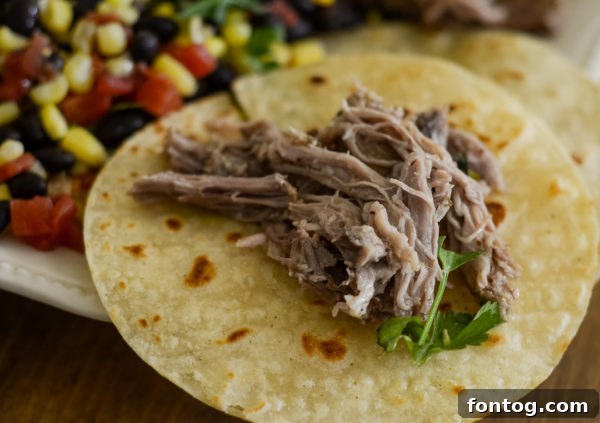 Fresh ingredients for Ninja Foodi Pork Carnitas