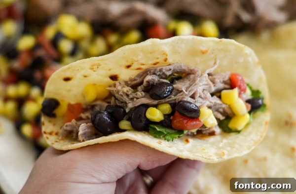 Perfectly cooked pork carnitas in the Ninja Foodi