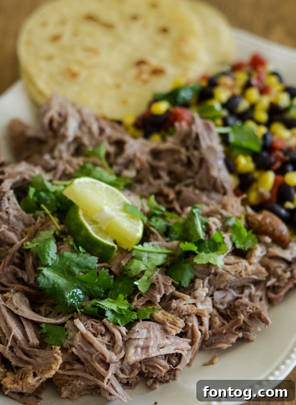 Ninja Foodi Pork Carnitas served with toppings