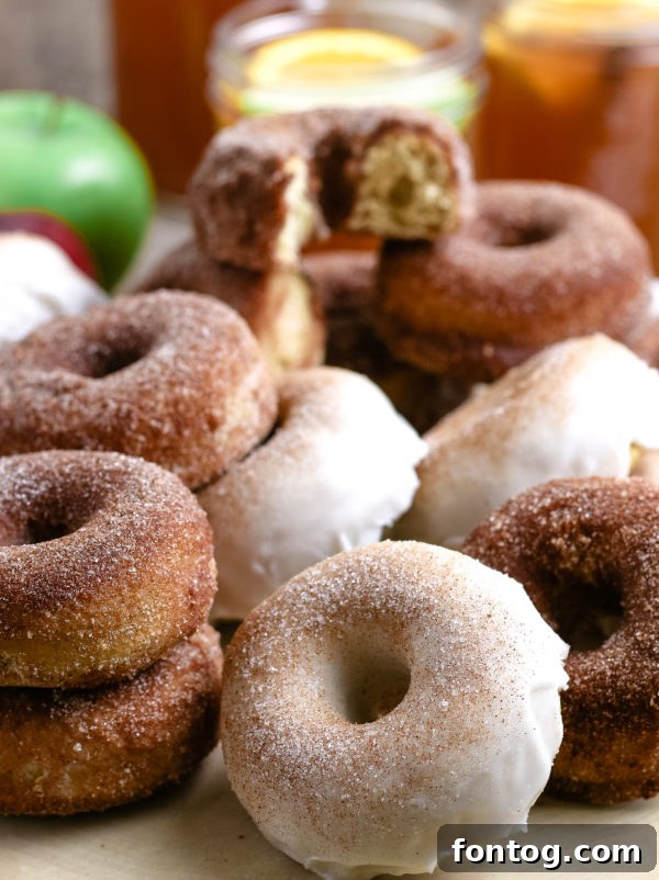 Autumn Apple Cider Donuts, Gluten-Free Adaptable 2 Apple Cider Donuts (Gluten-Free Optional)