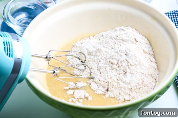 Autumn Apple Cider Donuts, Gluten-Free Adaptable 4 Apple Cider Donuts (Gluten-Free Optional)