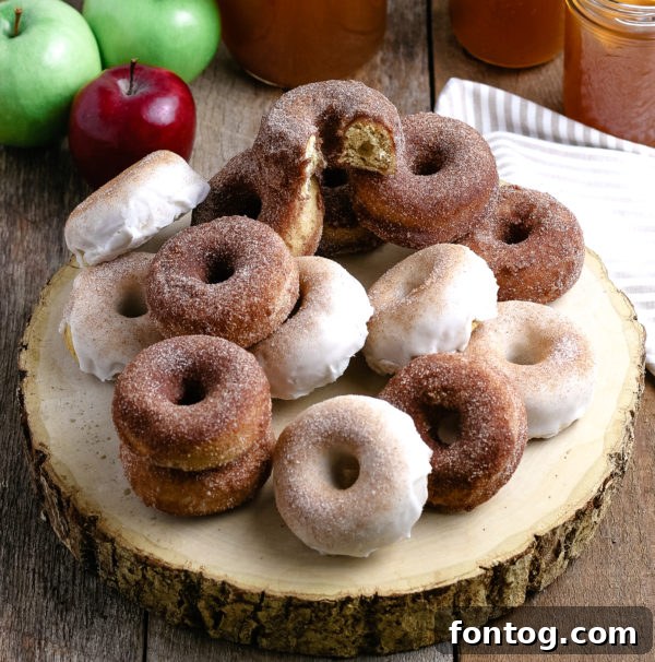 Autumn Apple Cider Donuts, Gluten-Free Adaptable 6 Apple Cider Donuts (Gluten-Free Optional)