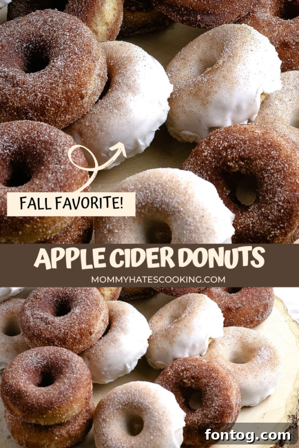 Autumn Apple Cider Donuts, Gluten-Free Adaptable 10 apple cider donuts