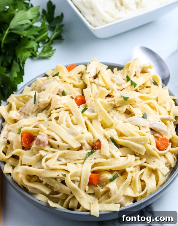 Homemade Creamy Chicken and Noodles - A comforting and easy meal to make.
