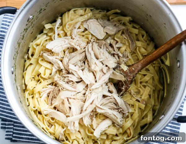 Close-up of Homemade Creamy Chicken and Noodles showing the noodles.