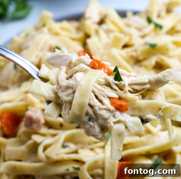 Serving of Homemade Creamy Chicken and Noodles in a bowl.