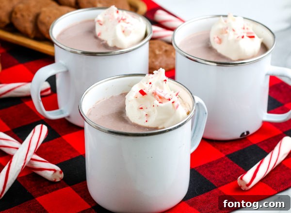 Chocolate Mint Bliss 2 Delicious Peppermint Hot Chocolate in a festive mug, topped with whipped cream and crushed candy canes.