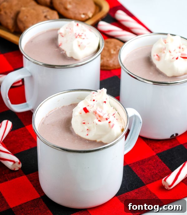 Chocolate Mint Bliss 4 Homemade Hot Chocolate Mix in a jar, ready for use.