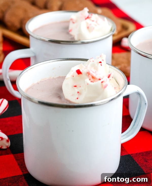 Chocolate Mint Bliss 5 A selection of homemade hot chocolate mixes and toppings, showcasing versatility.