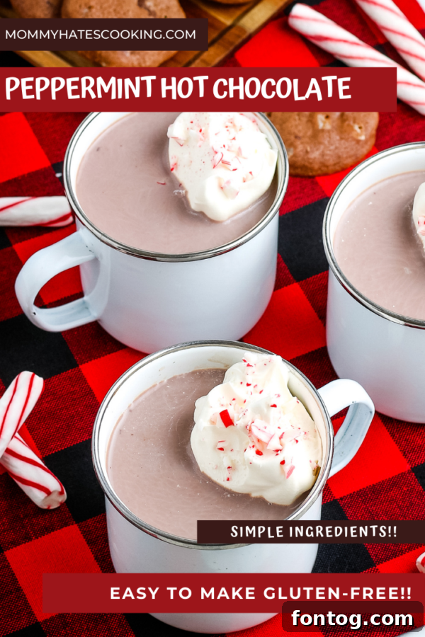 Chocolate Mint Bliss 8 Peppermint Hot Chocolate in a cozy winter setting, perfect for sharing.