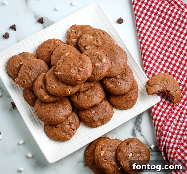 Decadent Gluten-Free Hot Chocolate Cookies 2 Hot Chocolate Cookies (Gluten-Free)