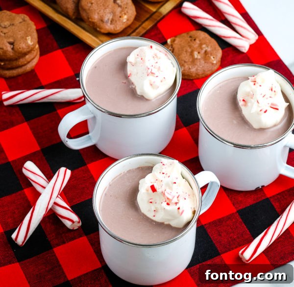 Decadent Gluten-Free Hot Chocolate Cookies 7 Hot Chocolate Cookies (Gluten-Free)