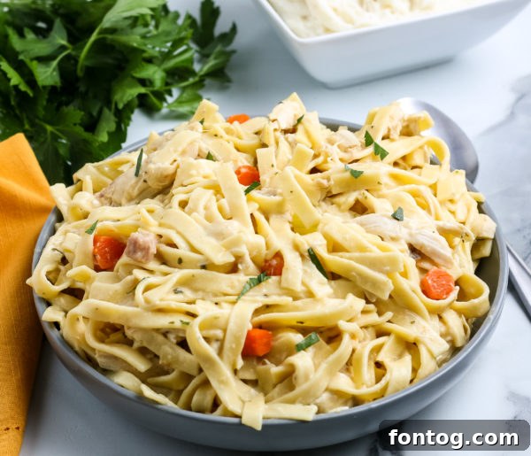 Delicious Creamy Chicken and Noodles for a weekly meal plan